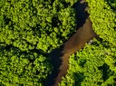 Com quantos habitantes se faz uma cidade inteligente? Com quantos habitantes se faz uma cidade inteligente?